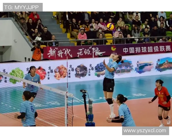 上海排球队的转型之路:从传统强队到现代竞技新标杆的蜕变与挑战 上海排球队的转型之路:从传统强队到现代竞技新标杆的蜕变与挑战