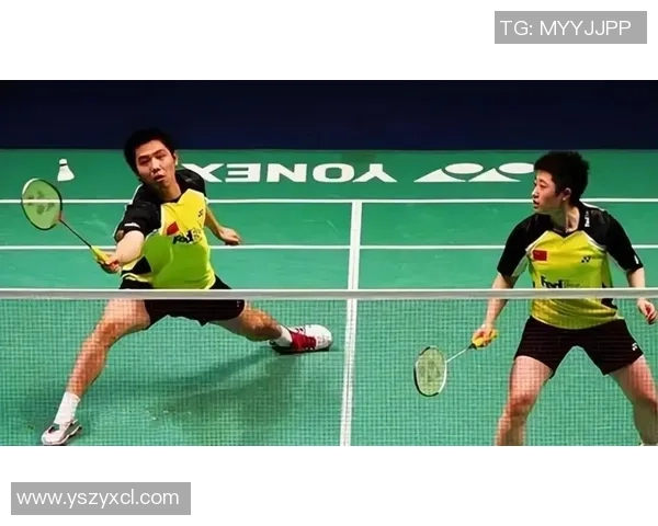 南京羽毛球队包夹战术分析及其在比赛中的得失影响探讨 南京羽毛球队包夹战术分析及其在比赛中的得失影响探讨