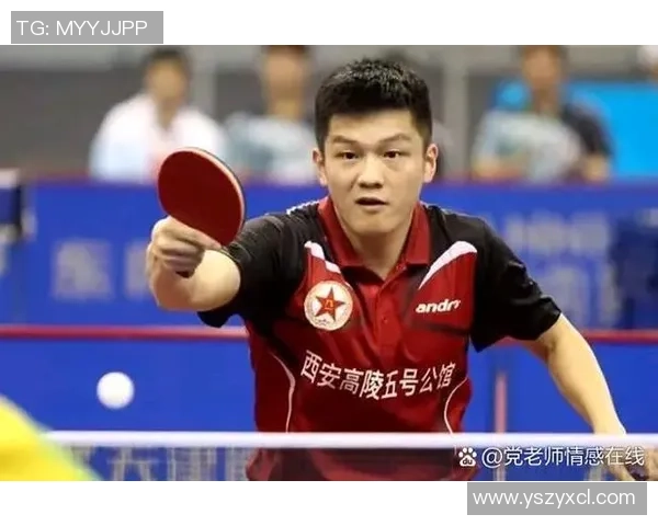 重庆足球队的奋斗历程与荣耀追寻:一段不屈不挠的足球纪实之旅 重庆足球队的奋斗历程与荣耀追寻:一段不屈不挠的足球纪实之旅