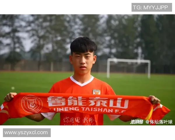 南京羽毛球队在总决赛积分榜上以80分稳居第一位置展现强劲实力